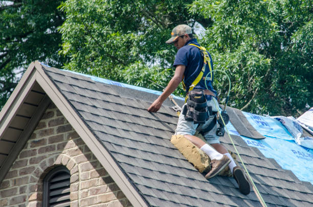 Quick and Trustworthy Emergency Roof Repair Services in Jacksonville, AL